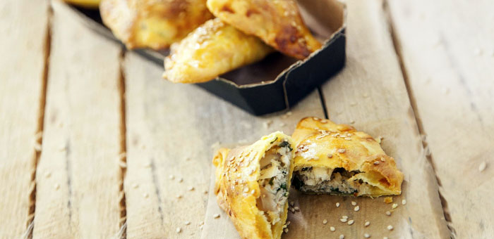 kotopitakia topimage-2