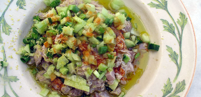 tonos-tartar top