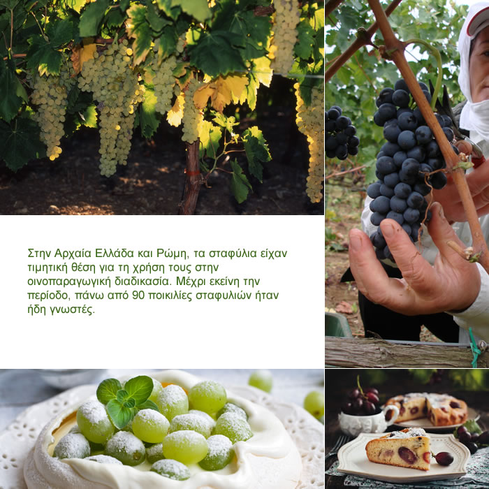 grapes middle01