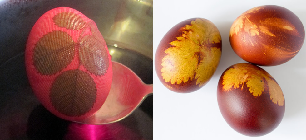 eggs 17
