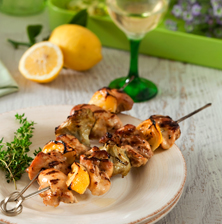 SOUVLAKIA-KOTOPOULO