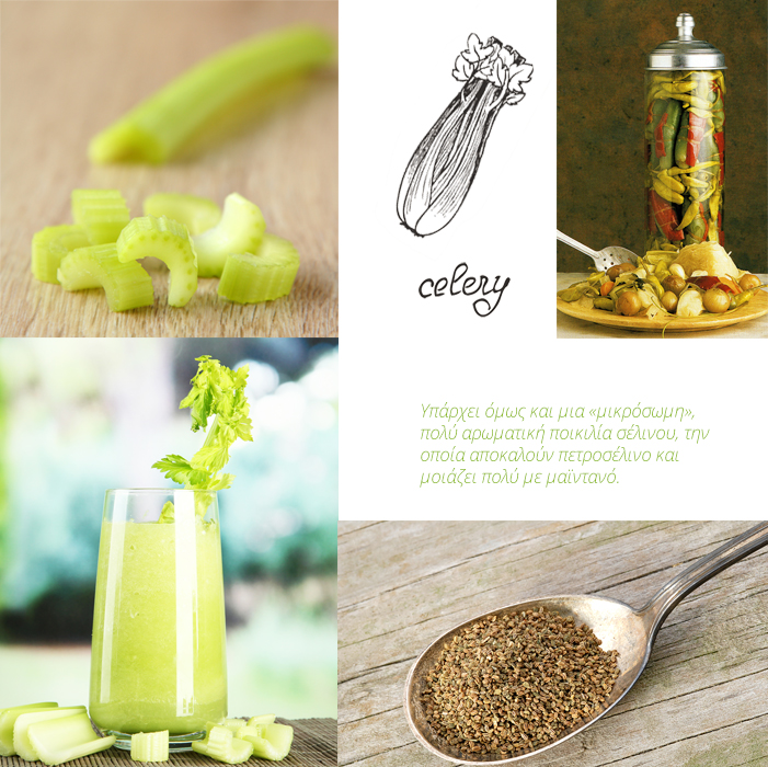 celery-images