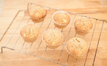 step18 CUPCAKES