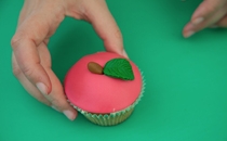 step46 CUPCAKES