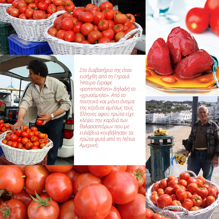 tomato-images