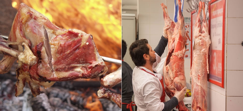 &Alpha;&Rho;&Nu;&Iota; VS &Kappa;&Alpha;&Tau;&Sigma;&Iota;&Kappa;&Iota;