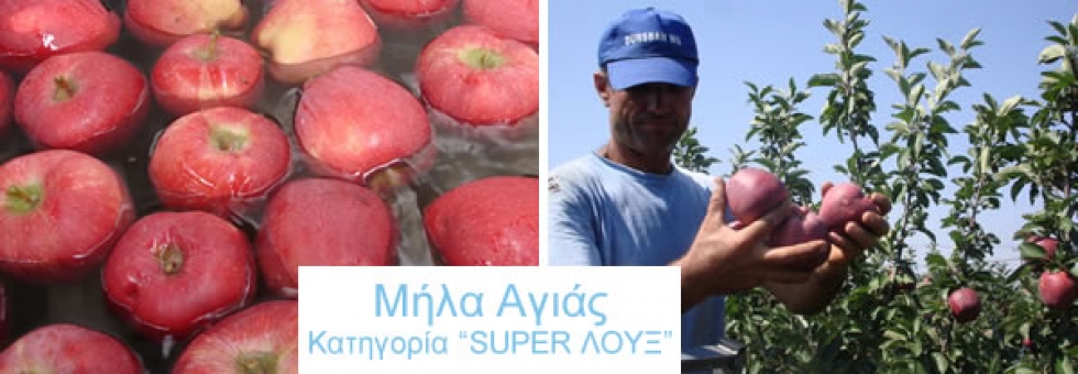&Mu;&Eta;&Lambda;&Alpha; &Alpha;&Gamma;&Iota;&Alpha;&Sigma; - &Kappa;&Alpha;&Tau;&Eta;&Gamma;&Omicron;&Rho;&Iota;&Alpha; "SUPER &Lambda;&Omicron;&Upsilon;&Xi;"