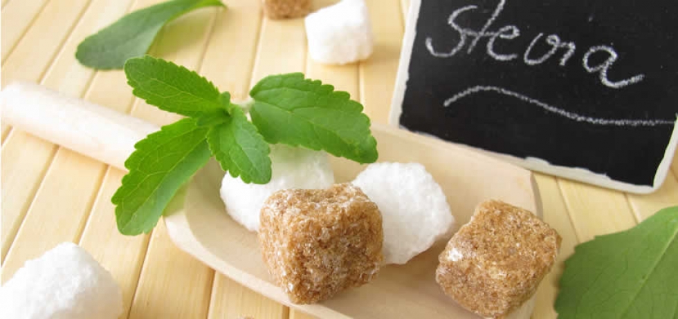 STEVIA, &Eta; &Zeta;&Alpha;&Chi;&Alpha;&Rho;&Eta; &Tau;&Omicron;&Upsilon; &Mu;&Epsilon;&Lambda;&Lambda;&Omicron;&Nu;&Tau;&Omicron;&Sigma;